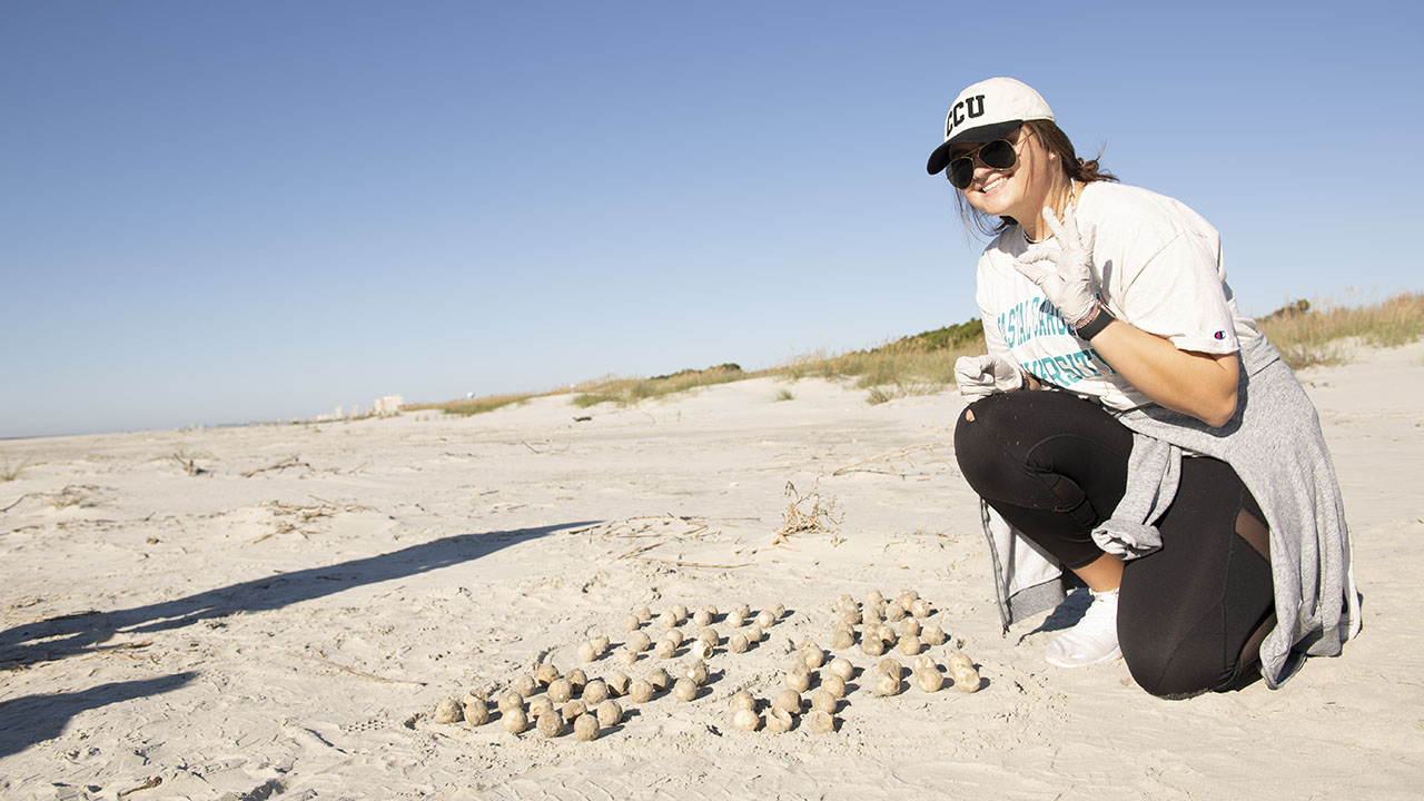 A student conducts fieldwork on a sandy coastal beach, examining and documenting a group of collected marine shells arranged on the ground.